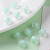 Transparent Acrylic Beads TACR-S152-04A-SS2111-6