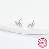 Sterling Silver Micro Pave Cubic Zirconia Stud Earrings ES4538-2-1