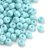Baking Paint 8/0 Glass Seed Beads SEED-Q025-3mm-L10-2