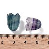 Natural Fluorite Beads G-A222-03F-3