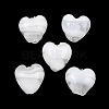 Handmade Lampwork Beads LAMP-K047-01B-1
