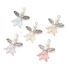 Glass & Acrylic Pendants PALLOY-TA00029-S-1