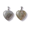 Natural Labradorite Pendants G-G956-B24-FF-1
