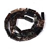 Natural Biotite Beads Strands G-T141-103-2