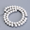 Natural Agate Beads Strands X-G-S286-06E-2