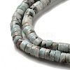 Natural Larimar Beads Strands G-Q024-B03-01-4