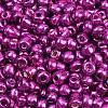 6/0 Glass Seed Beads E06900B4-1