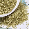 MIYUKI Delica Beads X-SEED-J020-DB0687-1