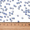 6/0 Opaque Colours Seep Glass Seed Beads SEED-F003-04A-02-4
