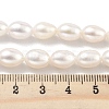 Natural Cultured Freshwater Pearl Beads Strands PEAR-P062-10F-5