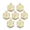 Alloy Pendants PALLOY-N157-003P-NR-1