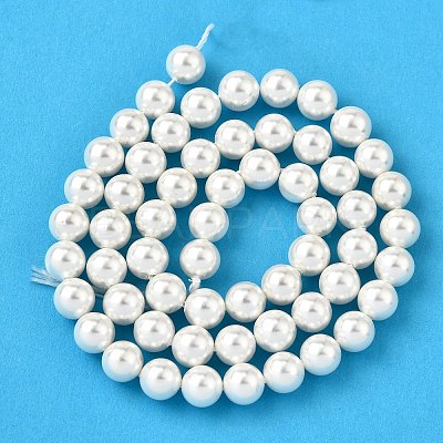 Rainbow Plated Shell Pearl Bead Strands BSHE-L025-02-6mm-1