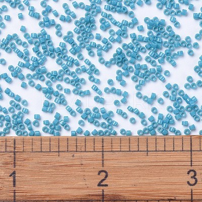 MIYUKI Delica Beads X-SEED-J020-DB2133-1