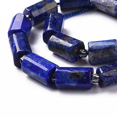 Natural Lapis Lazuli Beads Strands X-G-S345-8x11-002-1