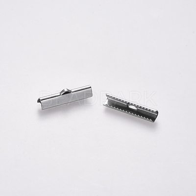 Non-Tarnish 304 Stainless Steel Ribbon Crimp Ends STAS-S112-001G-P-1