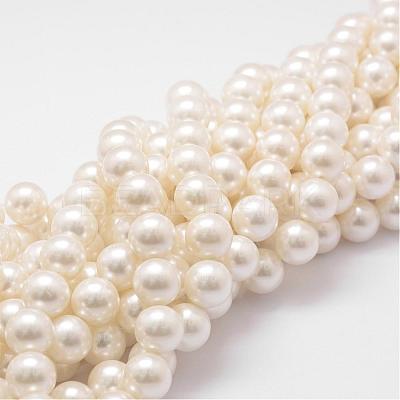 Shell Pearl Bead Strands BSHE-L026-03-14mm-1