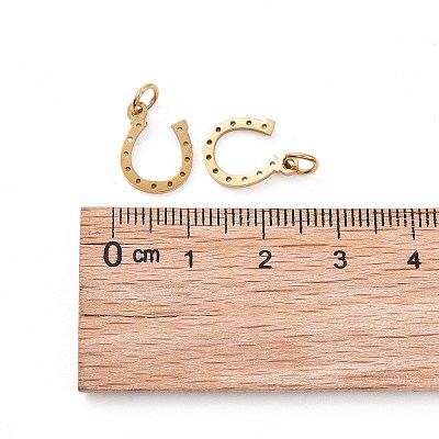 Ion Plating(IP) 304 Stainless Steel Charms STAS-S105-T519G-1