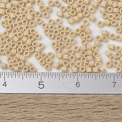 MIYUKI Delica Beads SEED-X0054-DB1591-1