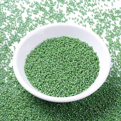 MIYUKI Delica Beads X-SEED-J020-DB0163-1