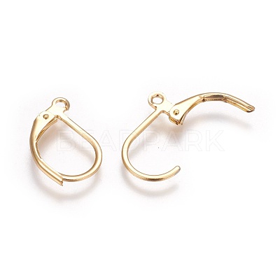 304 Stainless Steel Leverback Earrings Findings STAS-P227-47G-1