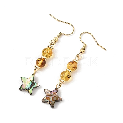 Natural Amber & Abalone Shell/Paua Shell Beads Dangle Earrings EJEW-JE07315-02-1
