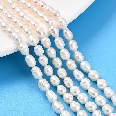 Natural Cultured Freshwater Pearl Beads Strands PEAR-N012-05Y-1