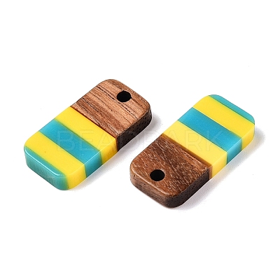 Epoxy Resin & Walnut Wood Pendants RESI-N039-121C-1