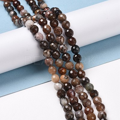 Natural Petrified Wood Beads Strands G-E571-27A-1