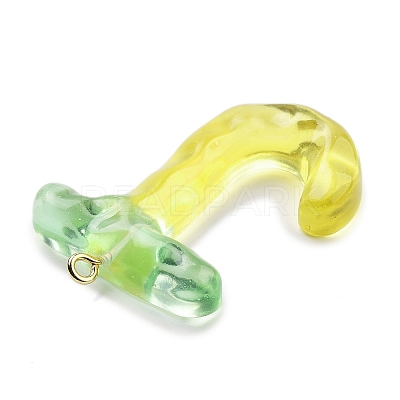 Resin Pendant FIND-Q107-01J-02-1