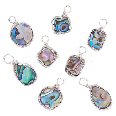 8Pcs 4 Styles Natural Abalone Shell/Paua Shell Pendants FIND-SZ0003-08-1