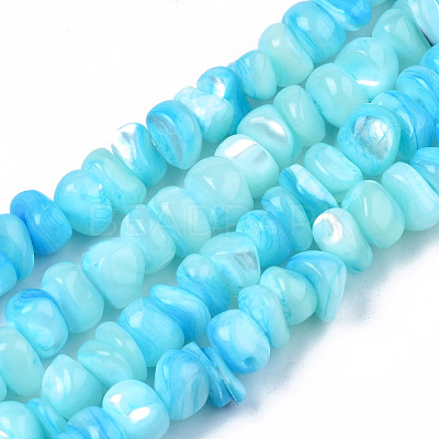 Natural Sea Shell Beads Strands SSHEL-S278-131D-1