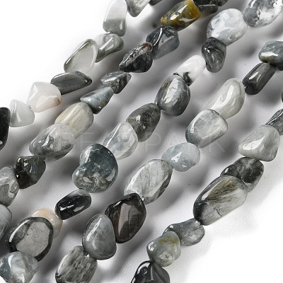 Natural Eagle Eye Stone Beads Strands X-G-P497-01C-52-1