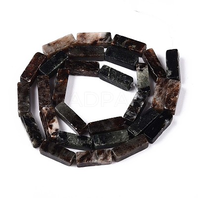 Natural Biotite Beads Strands G-T141-103-1