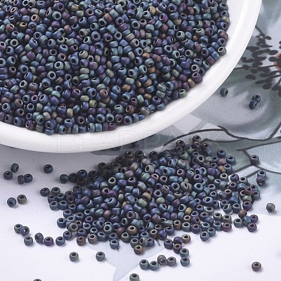 MIYUKI Round Rocailles Beads X-SEED-G007-RR0401FR-1