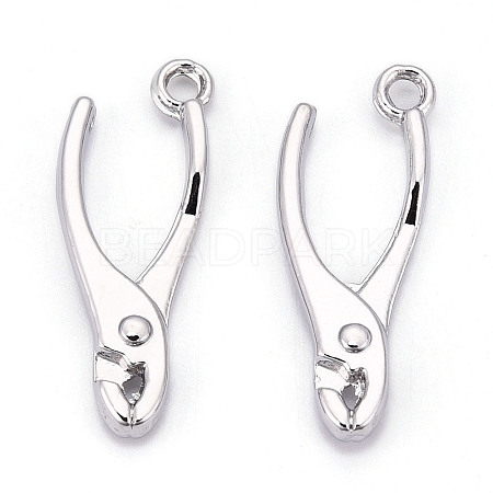 Alloy Pendants X1-PALLOY-N176-120P-1