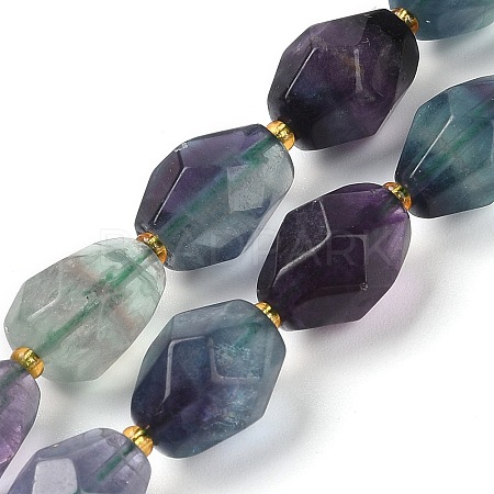 Natural Fluorite Beads Strands G-P541-A01-04-1