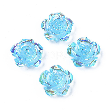 Transparent Resin Cabochons LS-CRES-N030-001B-02-1